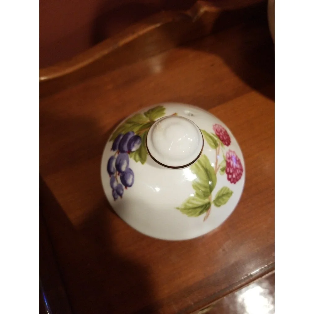 Vintage WINDSOR Teapot w Fruits Made in England 9.5